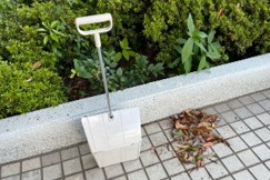 共用部清掃